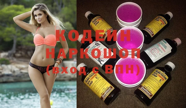 шишки Белокуриха