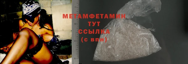 шишки Белокуриха