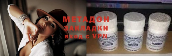 шишки Белокуриха