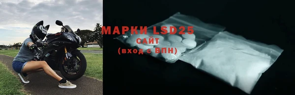 гашик Инта