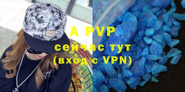 шишки Белокуриха