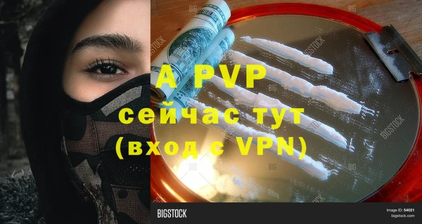 шишки Белокуриха