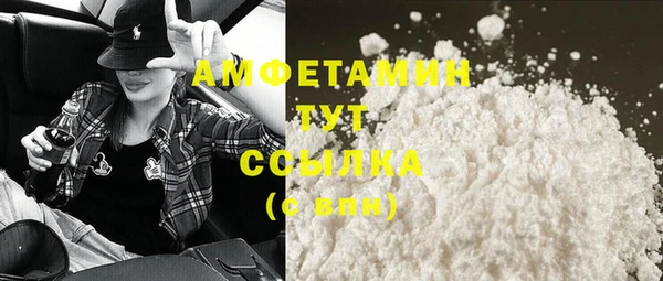 шишки Белокуриха