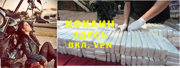 шишки Белокуриха