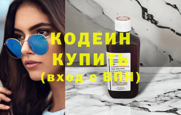 шишки Белокуриха