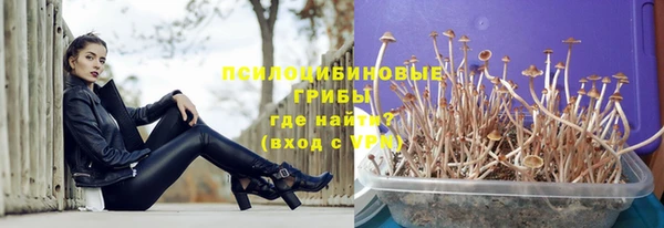 прущие крисы Беломорск