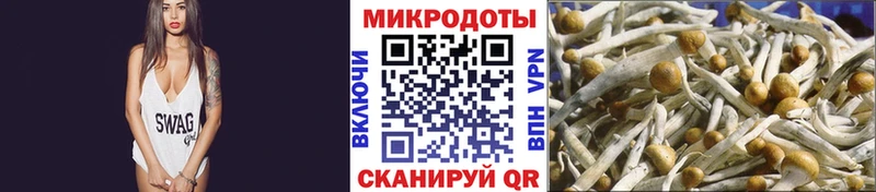 Галлюциногенные грибы Psilocybine cubensis  где купить наркоту  Железногорск-Илимский 